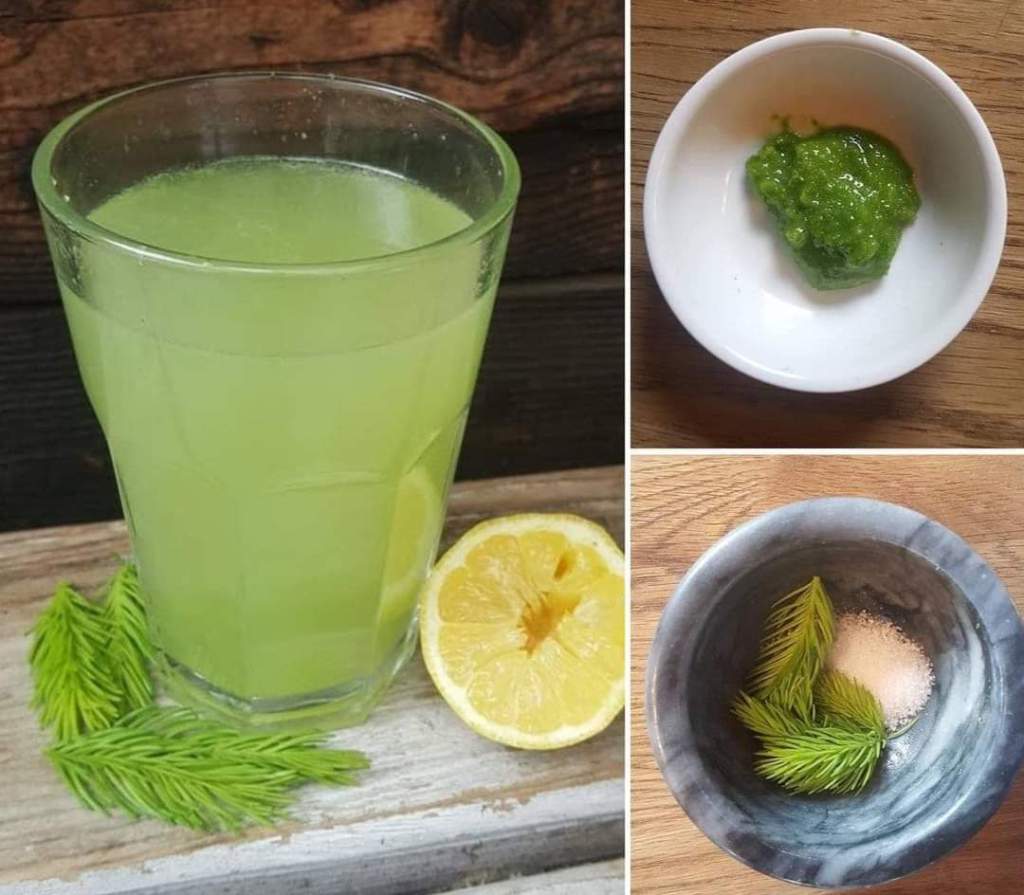 VYROBTE SI VLASTNÍ SMRKOVOU LIMONÁDU NEBO&nbsp;ČAJ