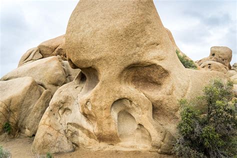 ZKAMENĚLÝ ŽIVOT V JOSHUA TREE NÁRODNÍM&nbsp;PARKU