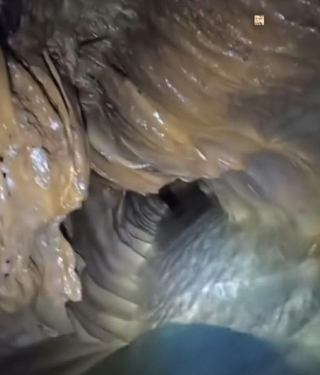 JSOU JESKYNĚ ÚTROBY, STŘEVA BYTOSTÍ Z KŘEMÍKOVÉ ÉRY? (Video,&nbsp;angl.)