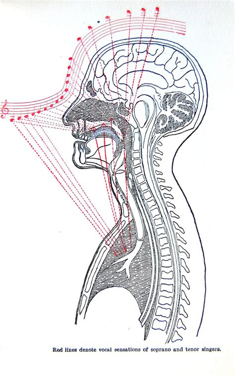 LIDSKÉ TĚLO JAKO HUDEBNÍ&nbsp;NÁSTROJ