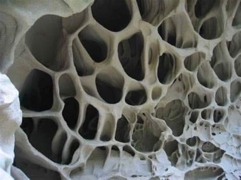 ZBYTKY GIGANTICKÝCH KOSTÍ?&nbsp;(fotografie)