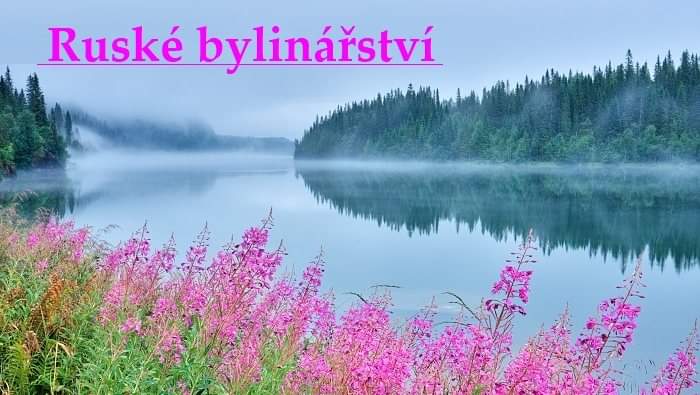 RECEPTY RUSKÝCH BYLINKÁŘŮ (pdf) – odkaz z webu pana bylinkáře&nbsp;Mlčocha