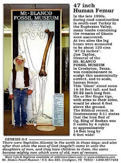 ZAKRÝVÁNÍ HISTORIE