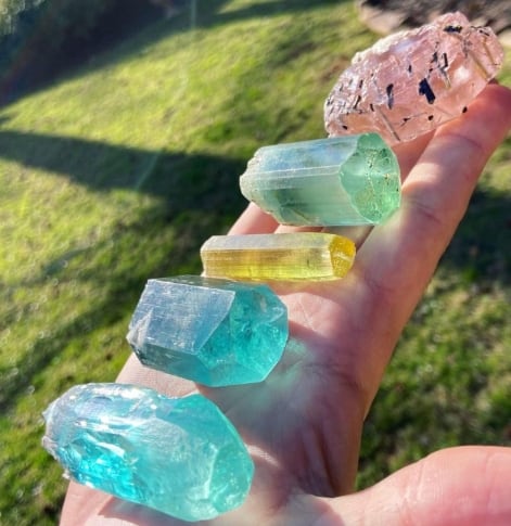 AVATARSKÝ STROM ŽIVOTA