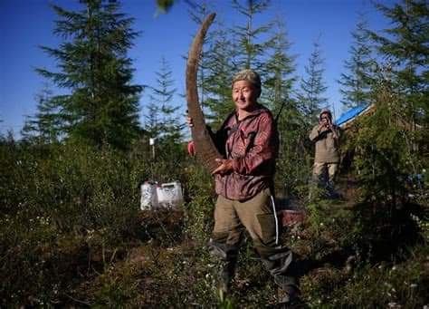 NA SIBIŘI BYLO TEPLO JAKO VE&nbsp;STŘEDOMOŘÍ