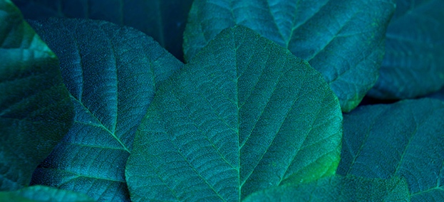 5 ZÁKLADNÍCH BAREV KŮŽE LIDSKÝCH&nbsp;BYTOSTÍ