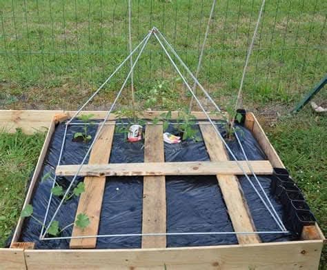 ELEKTROKULTURA – metoda pěstování pomocí elektromagnetismu