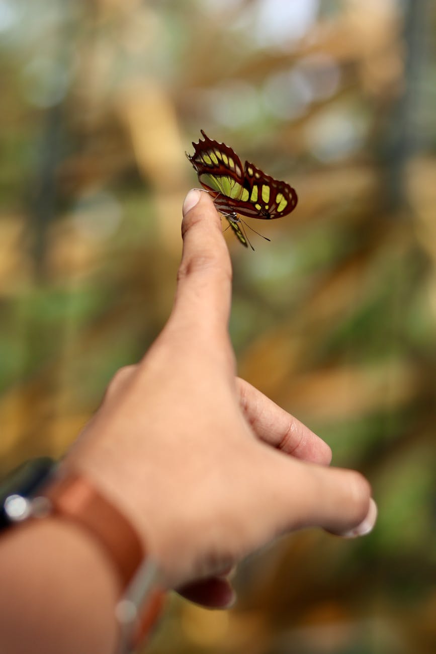 „MODERNÍ“ PRÁCE BYLA LIDSTVU VNUCENA (aneb aby Člověk přestal vytvářet&nbsp;harmonii)