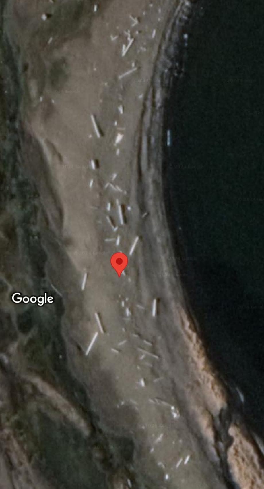 CO DĚLAJÍ NAPLAVENÉ KMENY NA POBŘEŽÍ ARKTICKÉHO&nbsp;OCEÁNU?