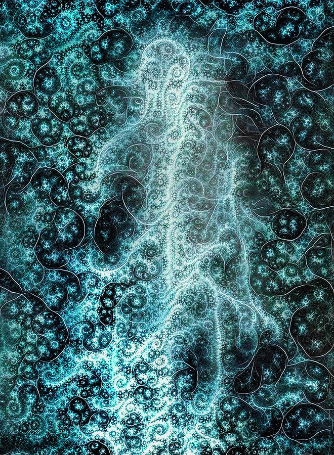 AGREGÁTI (BOHOVÉ) ŽIVLŮ