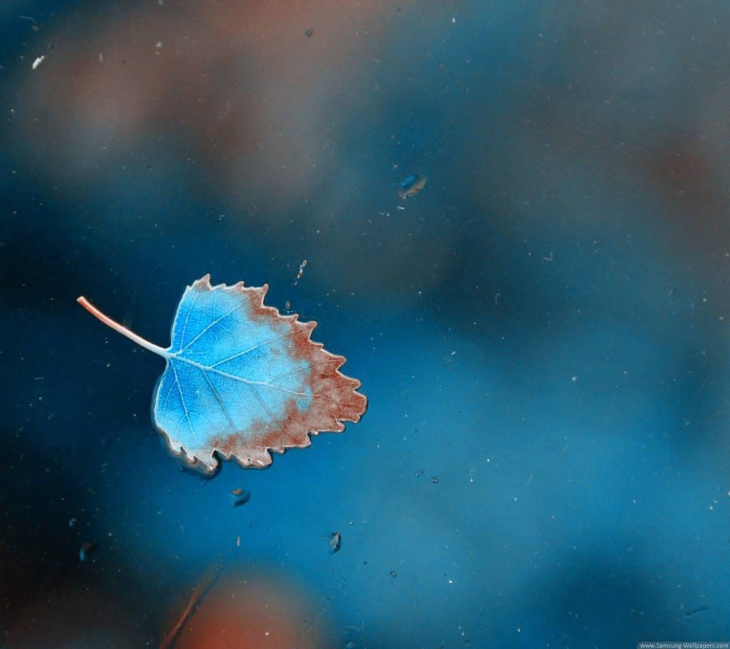 V POSVÁTNÉM SYMETRICKÉM HÁJI SE NIKDY NESTANE DESTRUKTIVNÍ&nbsp;ČIN