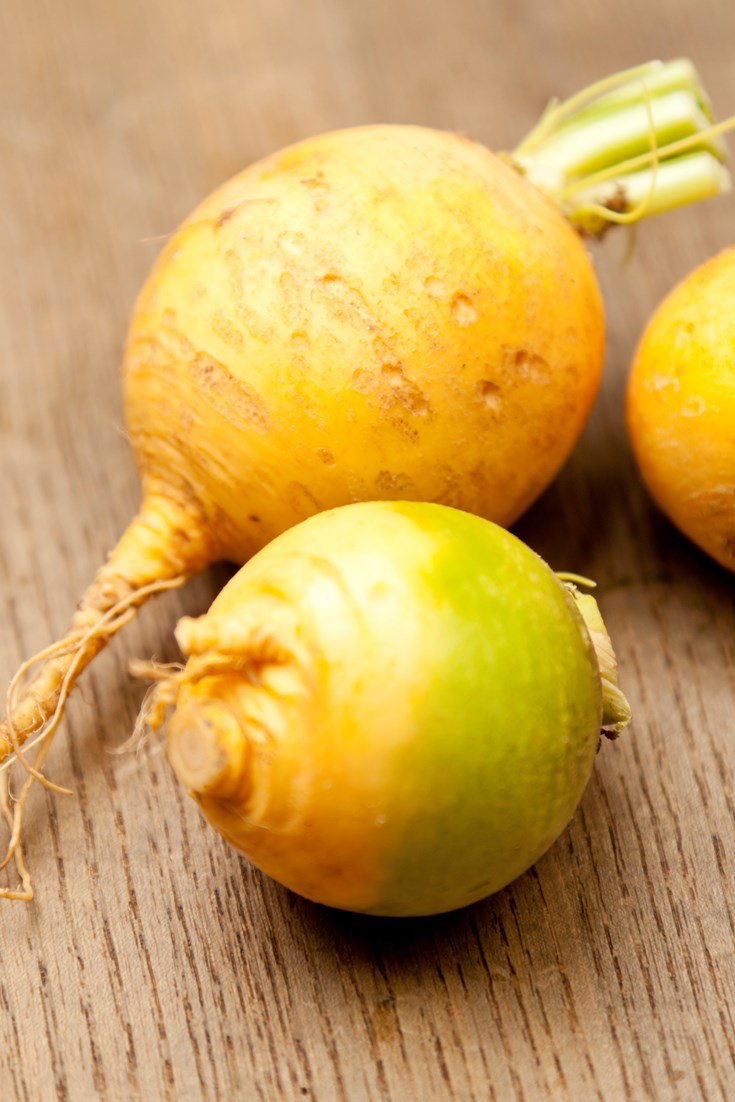 TUŘÍN (KVAKA) – STAROBYLÁ BOŽSKÁ PLODINA – energie&nbsp;kustus