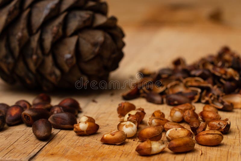 CEDROVÉ OŘÍŠKY ZE SIBIŘE MĚLY SCHOPNOST METAMORFOVAT LIDSKÉ&nbsp;TĚLO